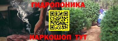 mdpv Камышлов