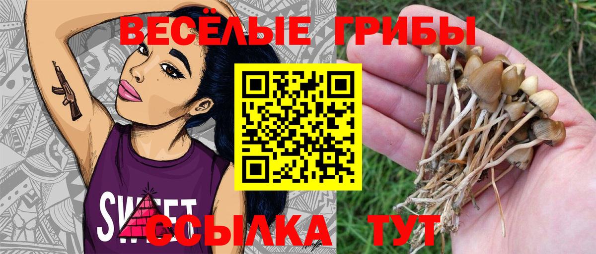 Галлюциногенные грибы Magic Shrooms  Галлюциногенные грибы Cubensis  где найти наркотики  Вход с VPN  Кувандык 