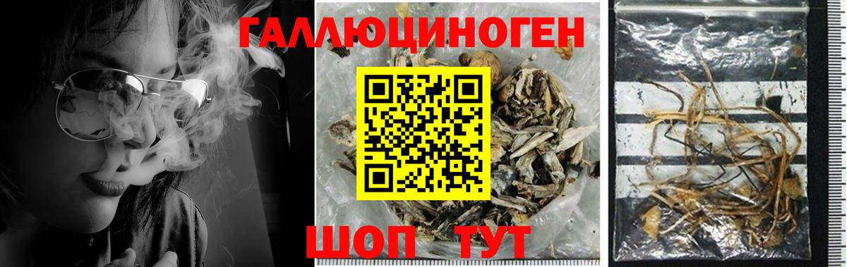 Псилоцибиновые грибы ЛСД Кувандык